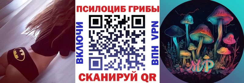 omg маркетплейс  Волхов  Псилоцибиновые грибы ЛСД 