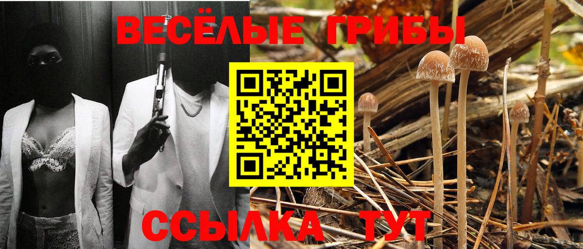 Галлюциногенные грибы мухоморы Волхов