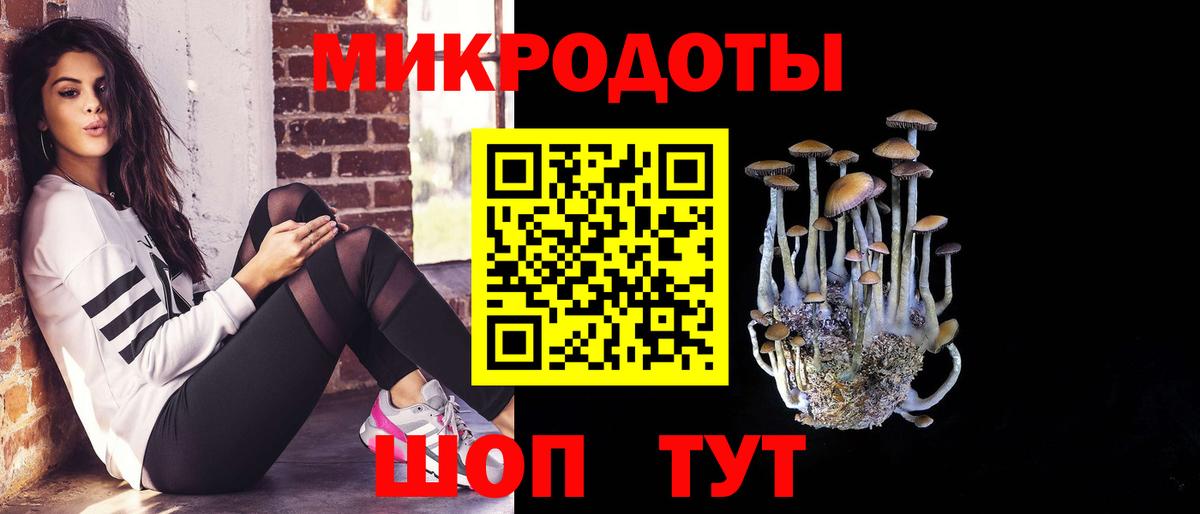 Галлюциногенные грибы Psilocybe  где найти наркотики  Волхов  Вход с VPN 